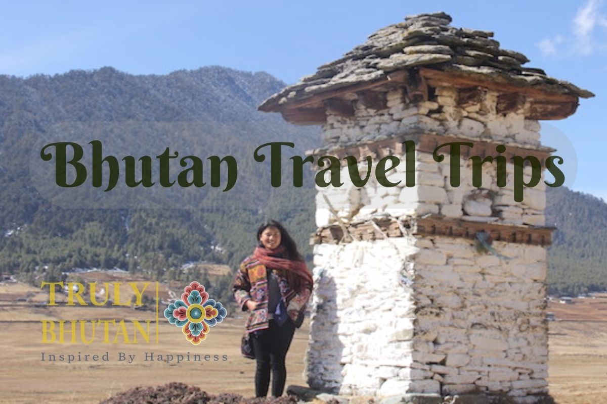 stupa | Bhutan Travel Advisory