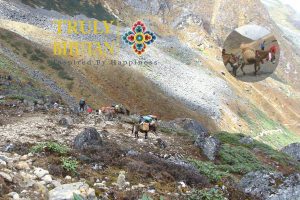 trek in Bhutan