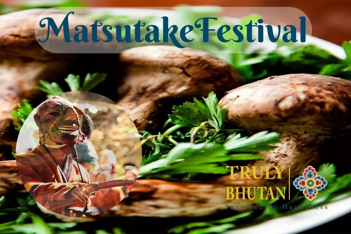 Matsutake | Matsutake Festival