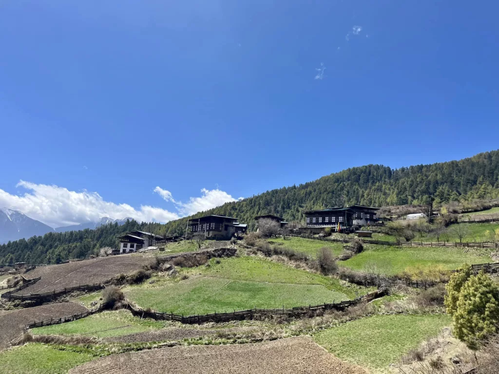 Tourists relaxing at Katsho Eco Camp nature retreat