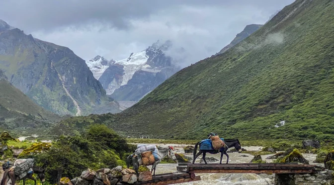 A Comprehensive Guide to Planning Your Trip to Bhutan