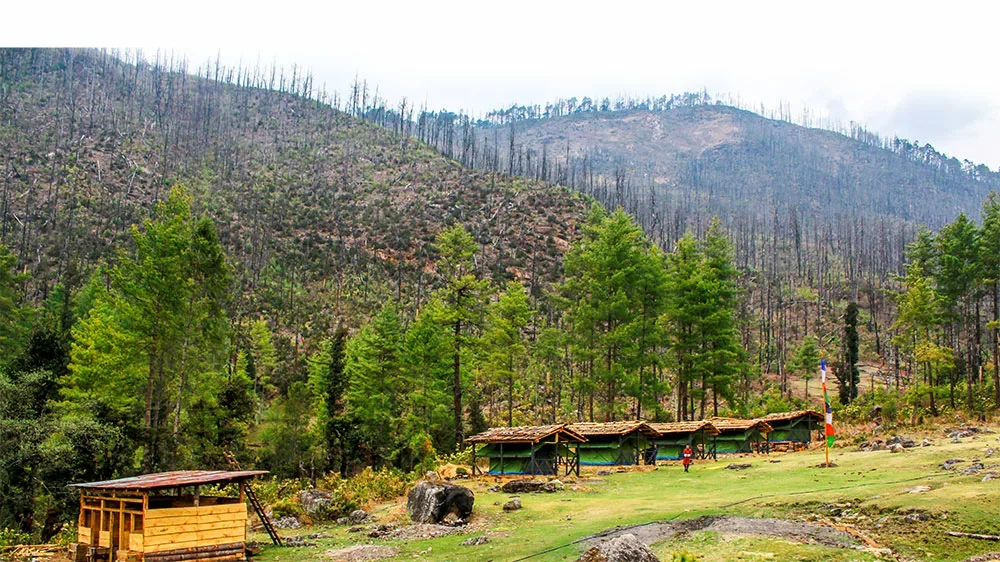 Sunrise over Katsho Eco Camp tents in Haa Bhutan