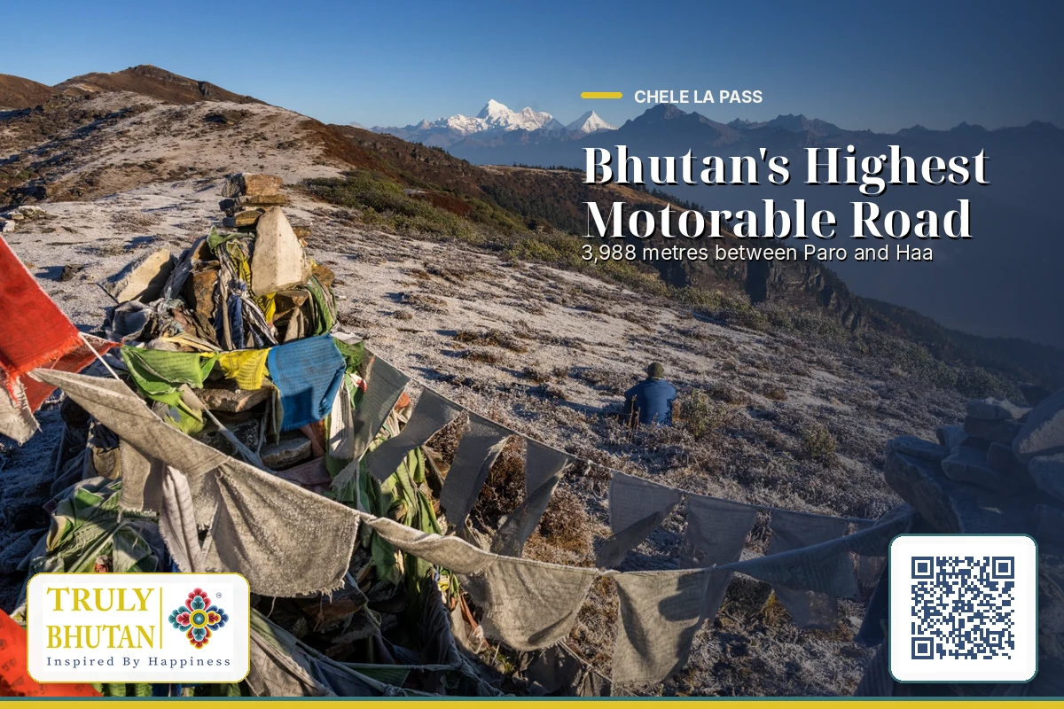 Prayer flags at Chele La pass between Paro and Haa valleys, Bhutan, photographed on a Truly Bhutan Travel day excursion