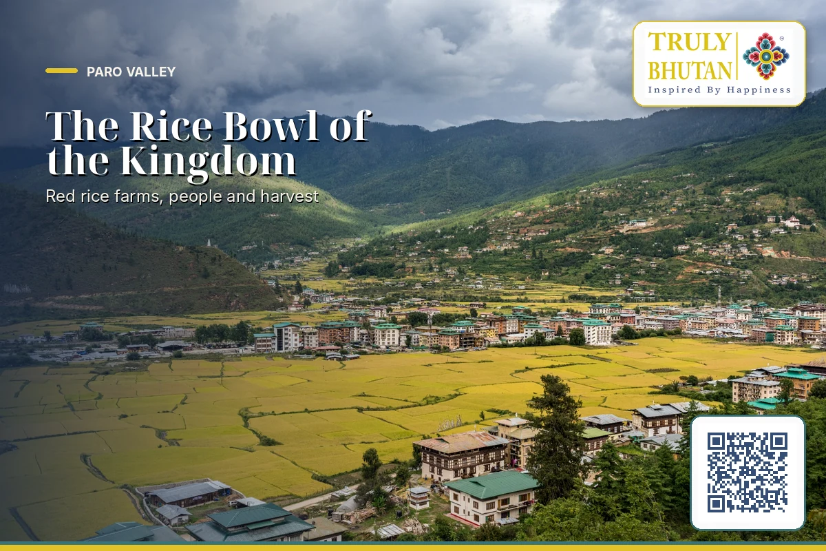 PARO VALLEY